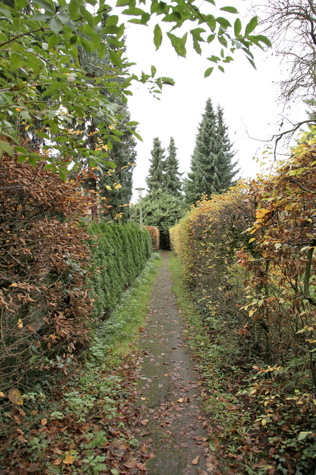 Trampelpfad in der Siedlung Lindental, 2014. Foto: Ralf Janowski