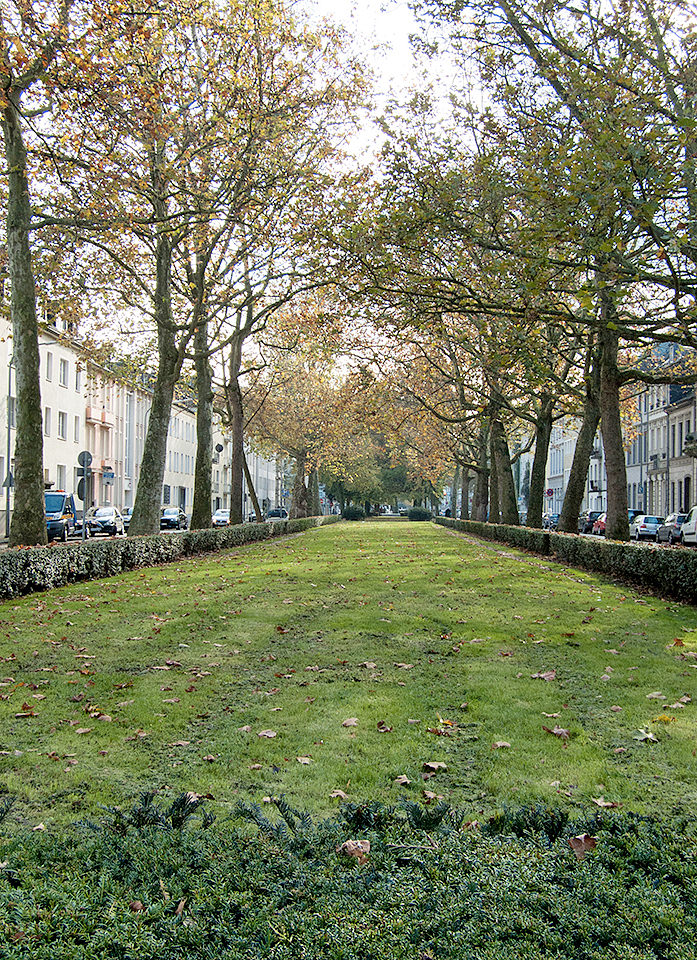 Westwall, 2014. Foto: Doris Kaiser